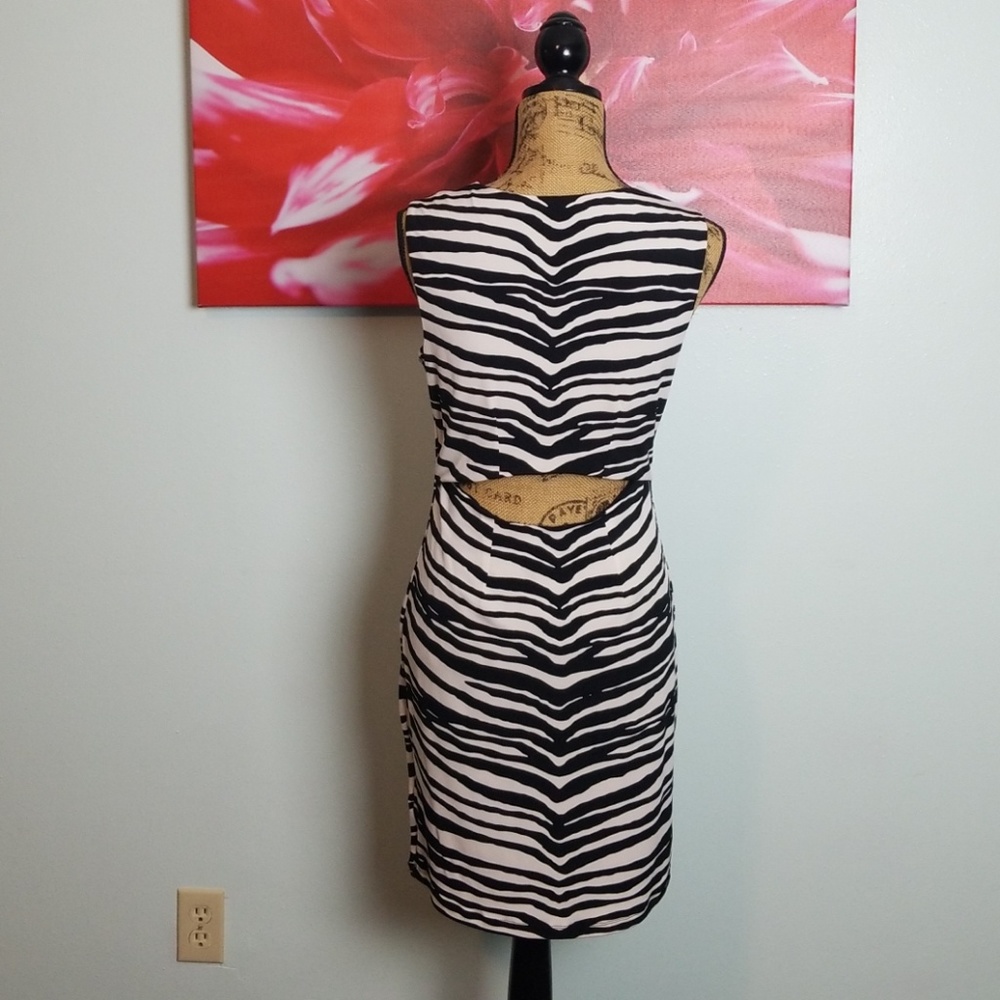 Dress - Picture 5 of 5